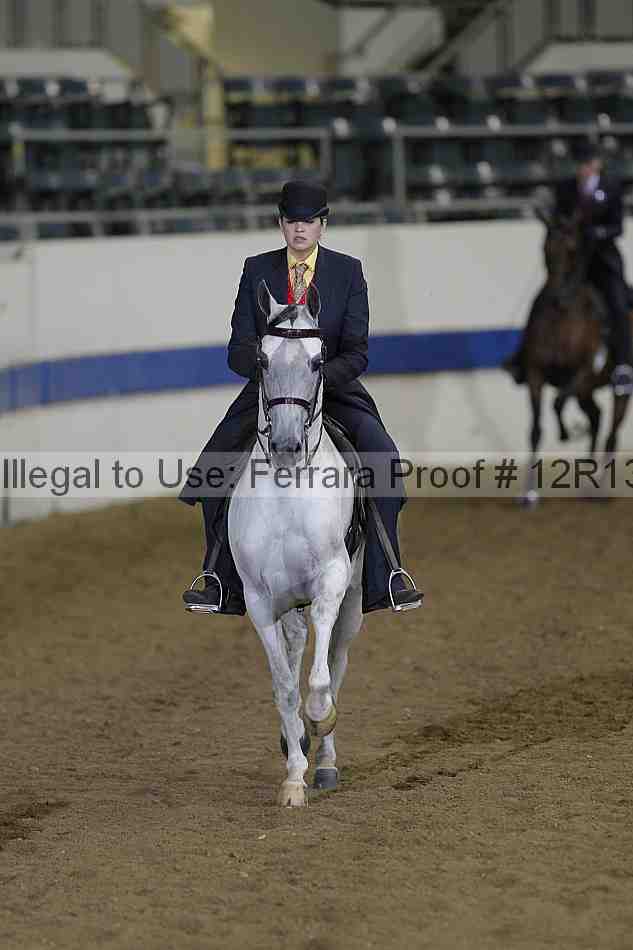 Proof 12r13_2796