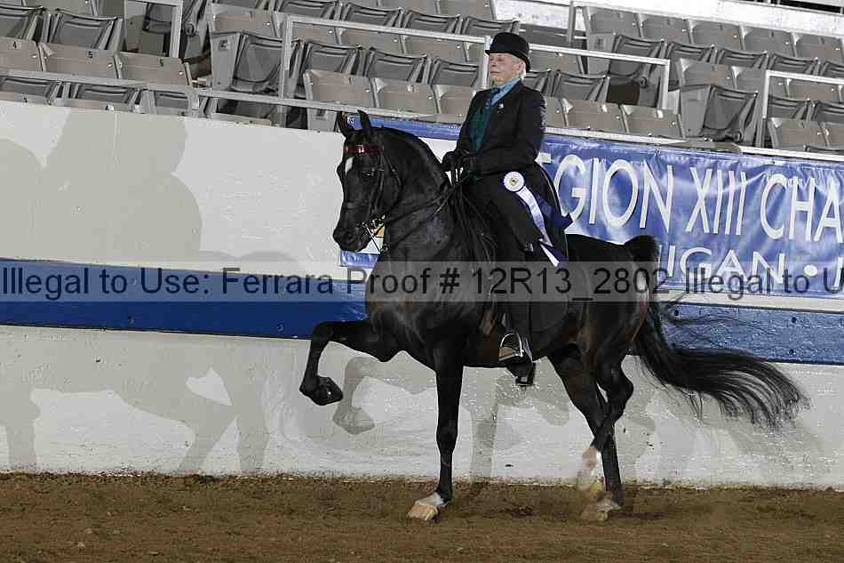 Proof 12r13_2802