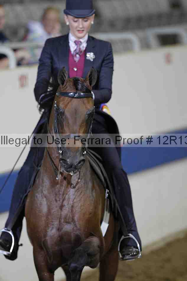 Proof 12r13_2803