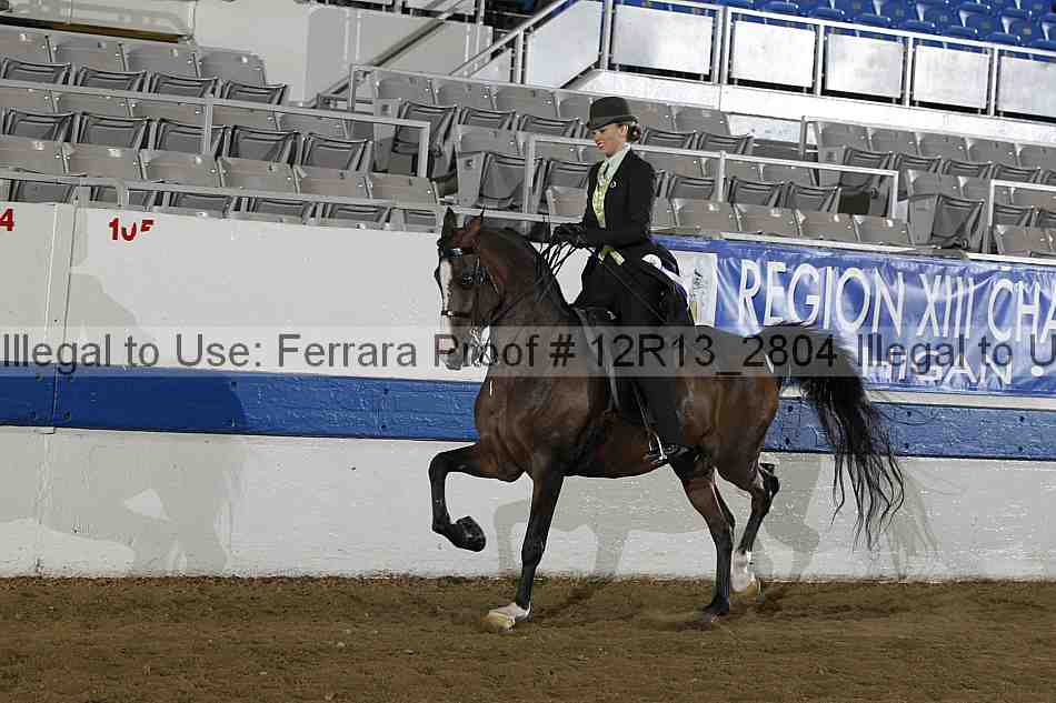 Proof 12r13_2804