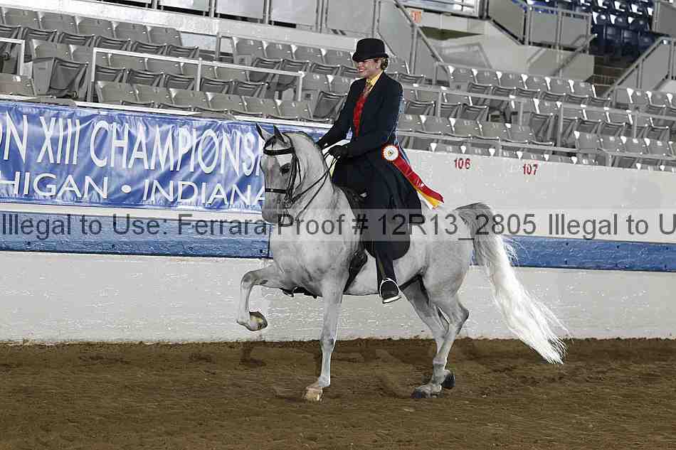 Proof 12r13_2805