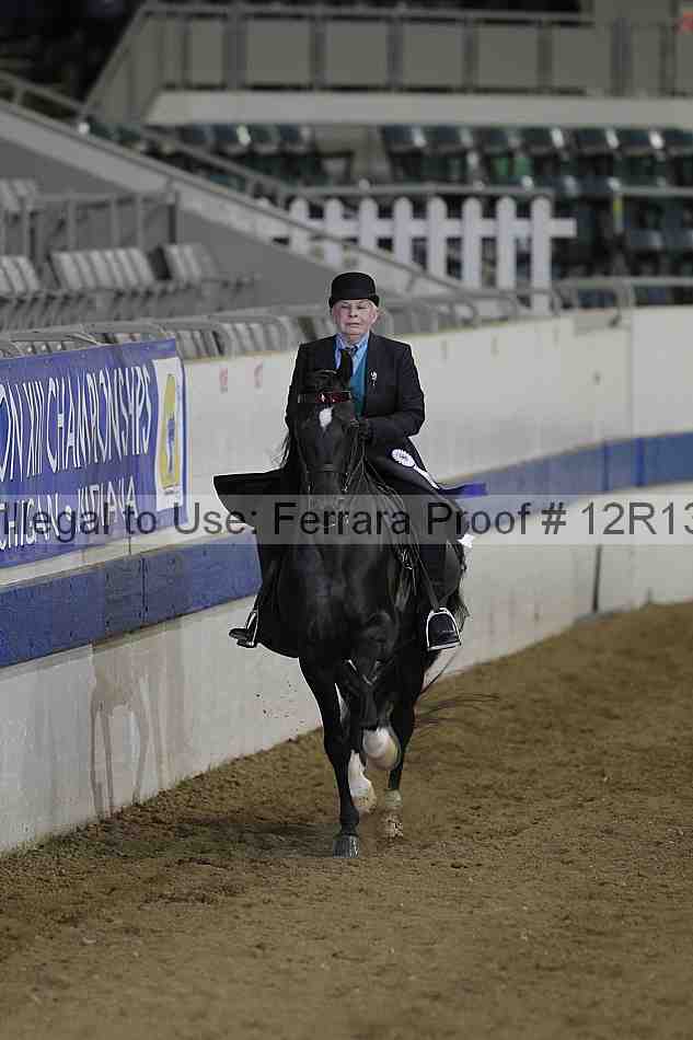 Proof 12r13_2806