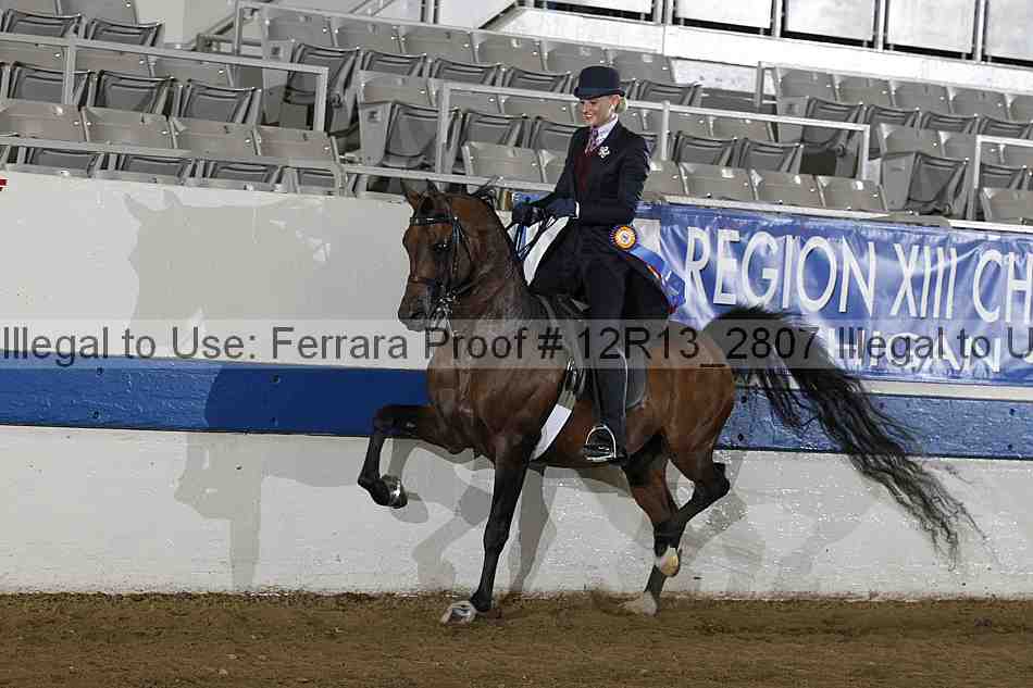 Proof 12r13_2807