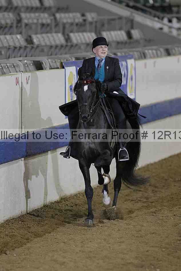 Proof 12r13_2808