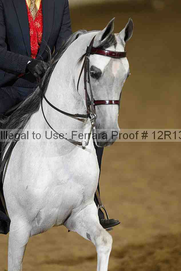 Proof 12r13_2812