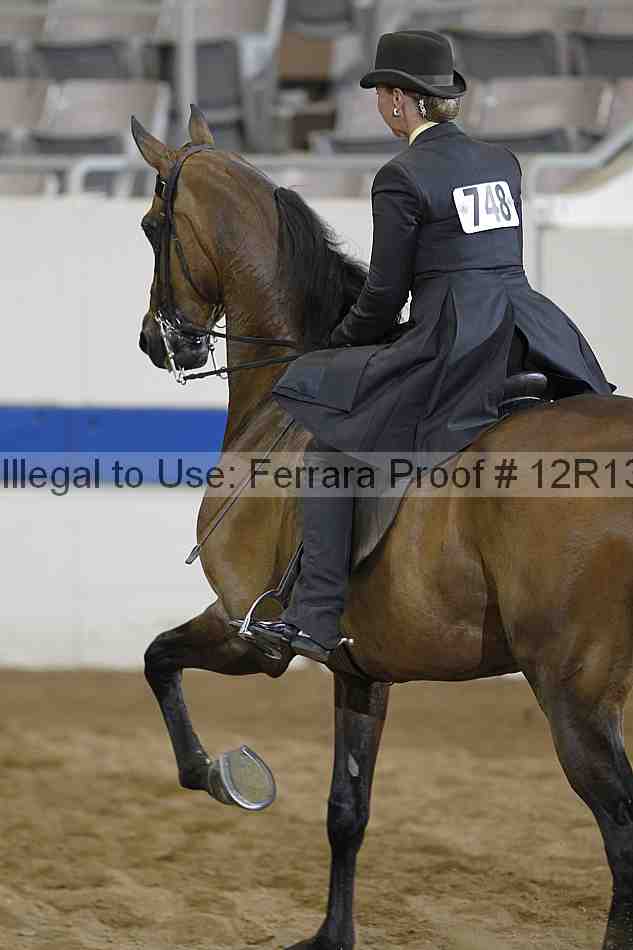 Proof 12r13_2819