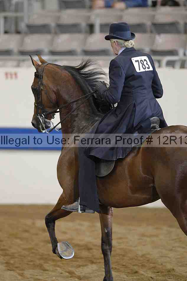 Proof 12r13_2821