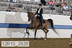 12r13_2826 proof