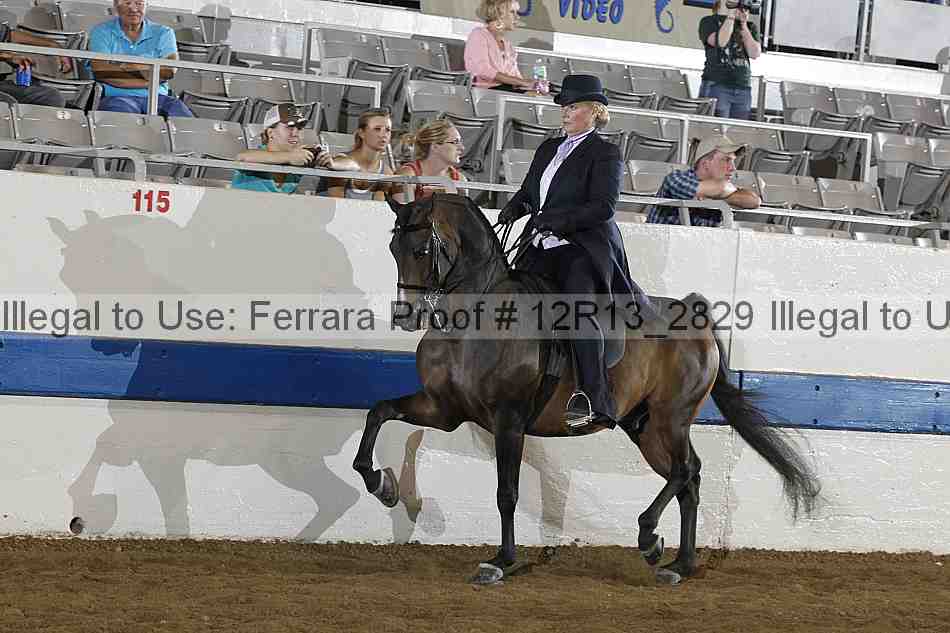 Proof 12r13_2829