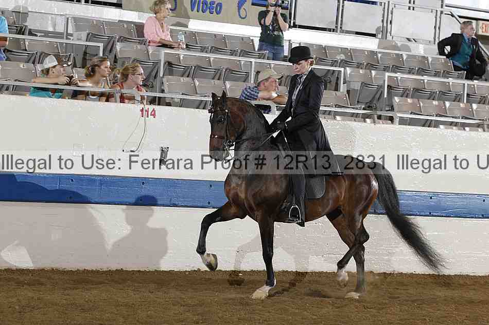 Proof 12r13_2831