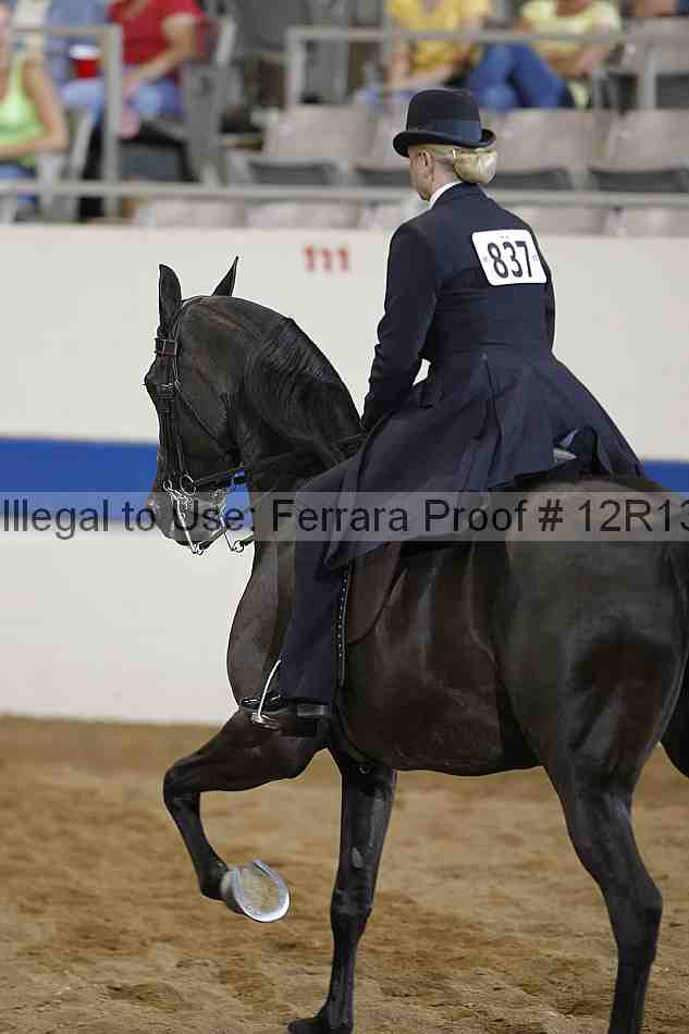 Proof 12r13_2832