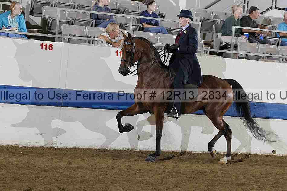 Proof 12r13_2834
