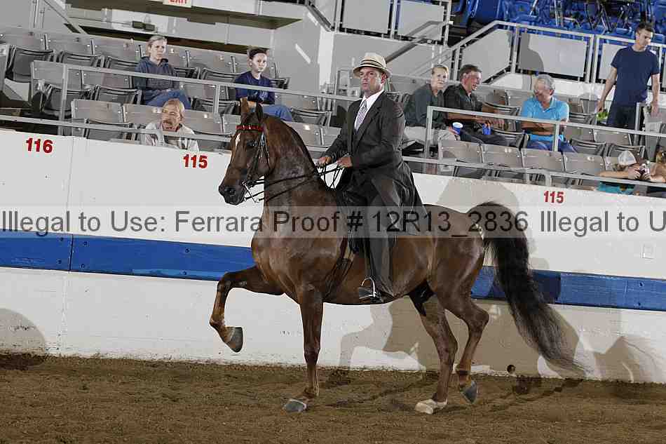 Proof 12r13_2836
