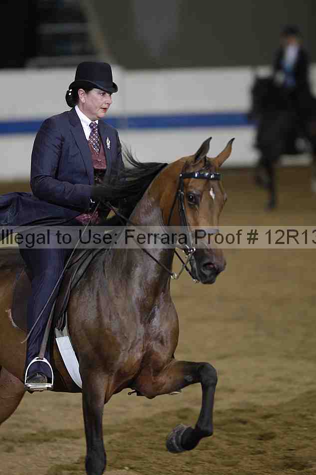 Proof 12r13_2837