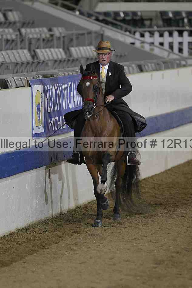 Proof 12r13_2838