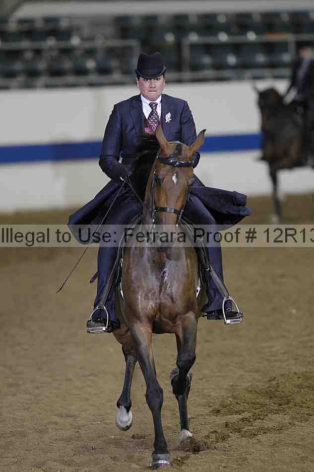 Proof 12r13_2846