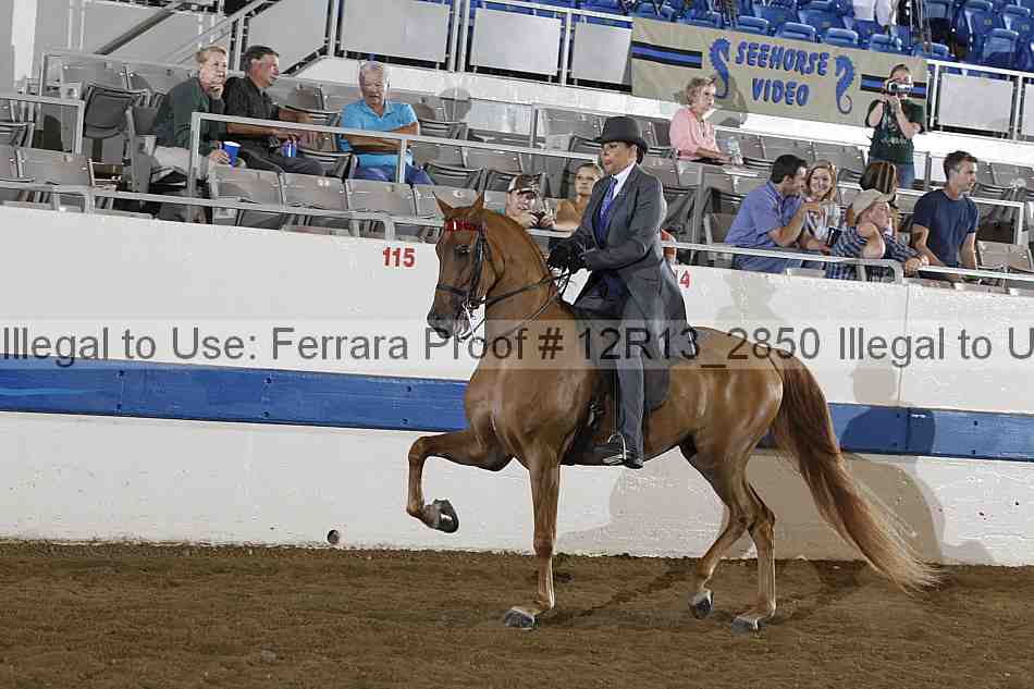 Proof 12r13_2850