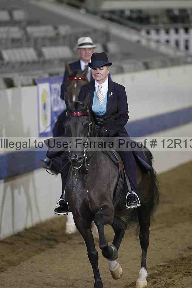 Proof 12r13_2851