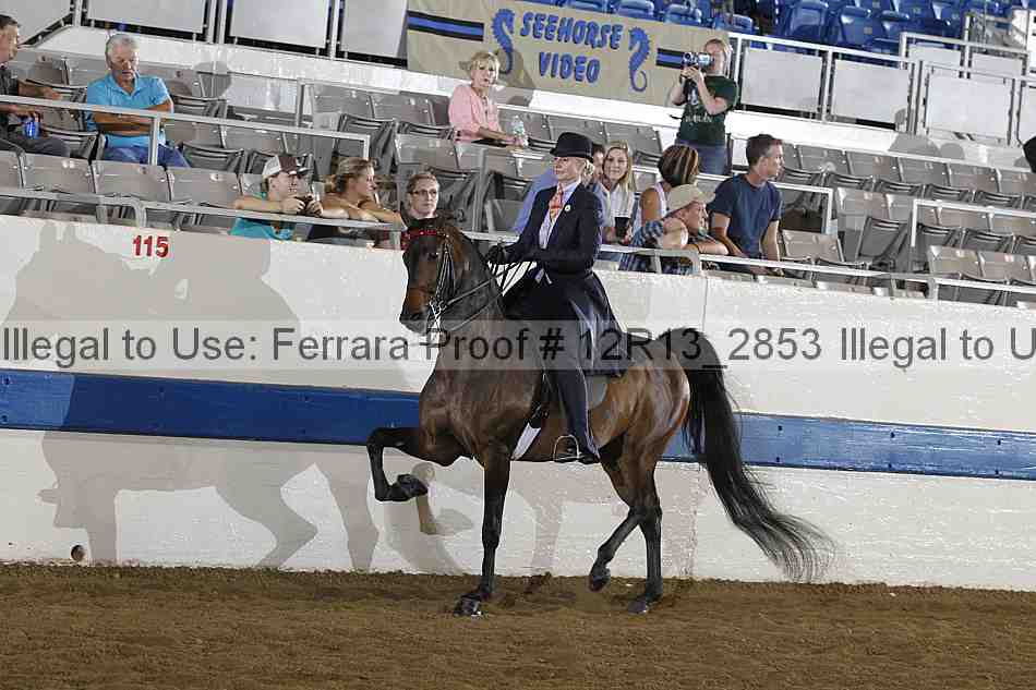 Proof 12r13_2853