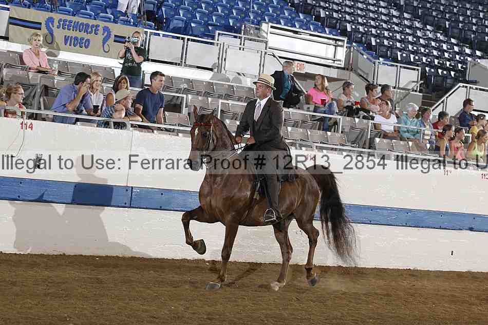 Proof 12r13_2854