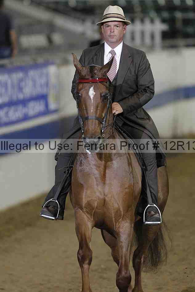 Proof 12r13_2859