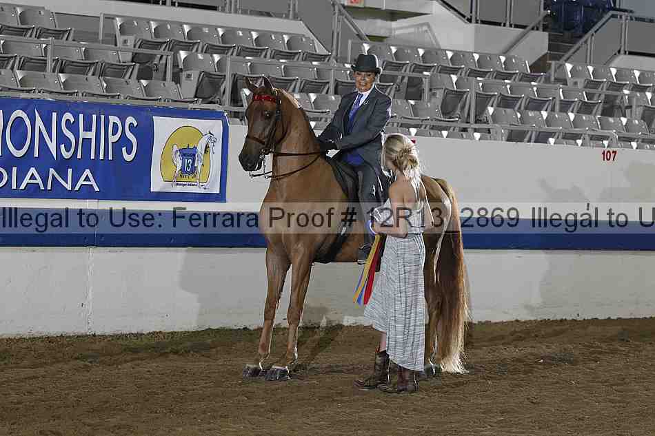 Proof 12r13_2869