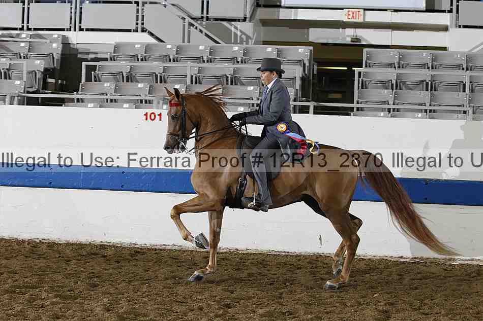 Proof 12r13_2870