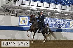 12r13_2873 proof