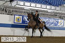 12r13_2876 proof