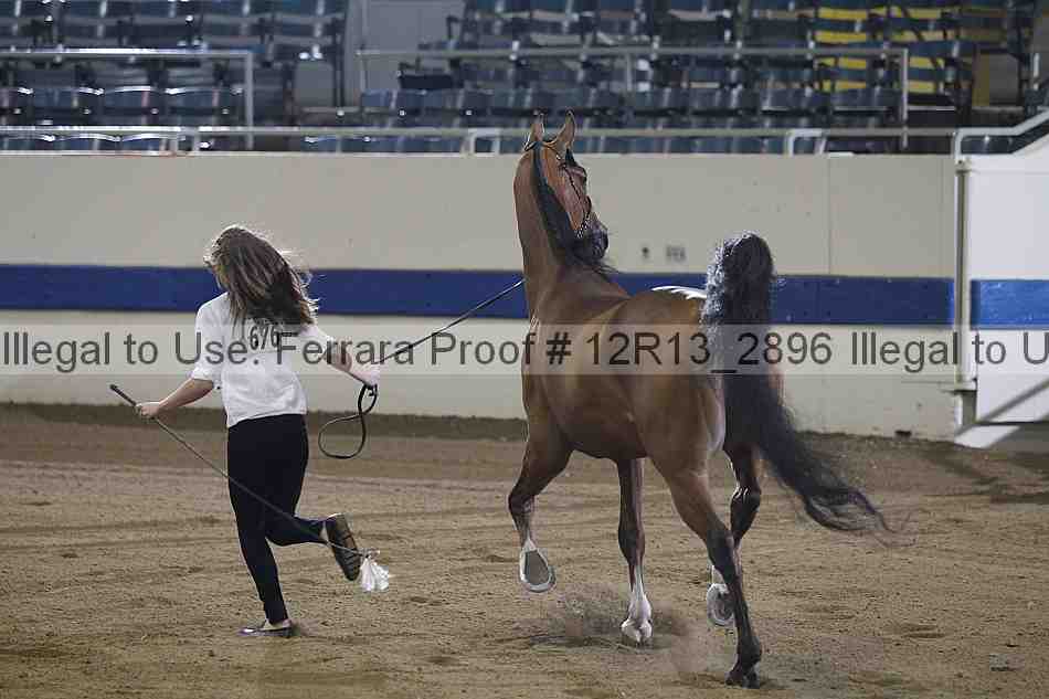 Proof 12r13_2896