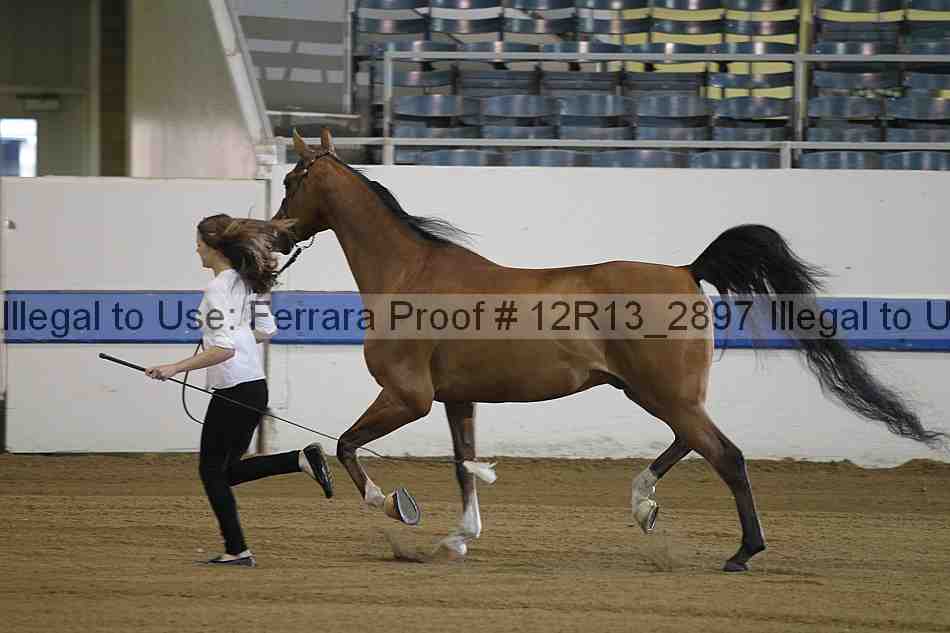 Proof 12r13_2897