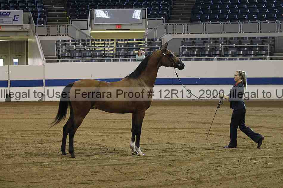 Proof 12r13_2900