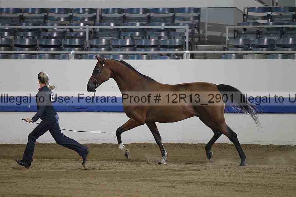Proof 12r13_2901