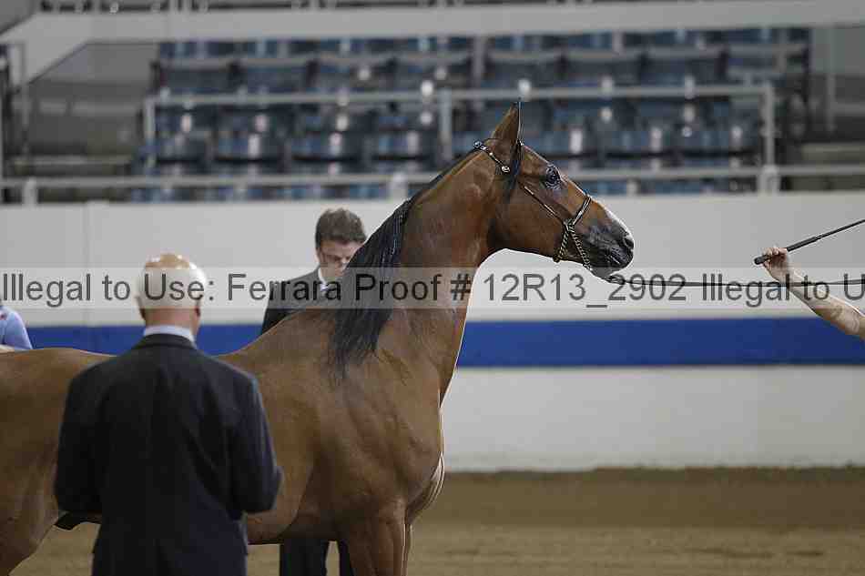 Proof 12r13_2902
