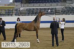 12r13_2903 proof
