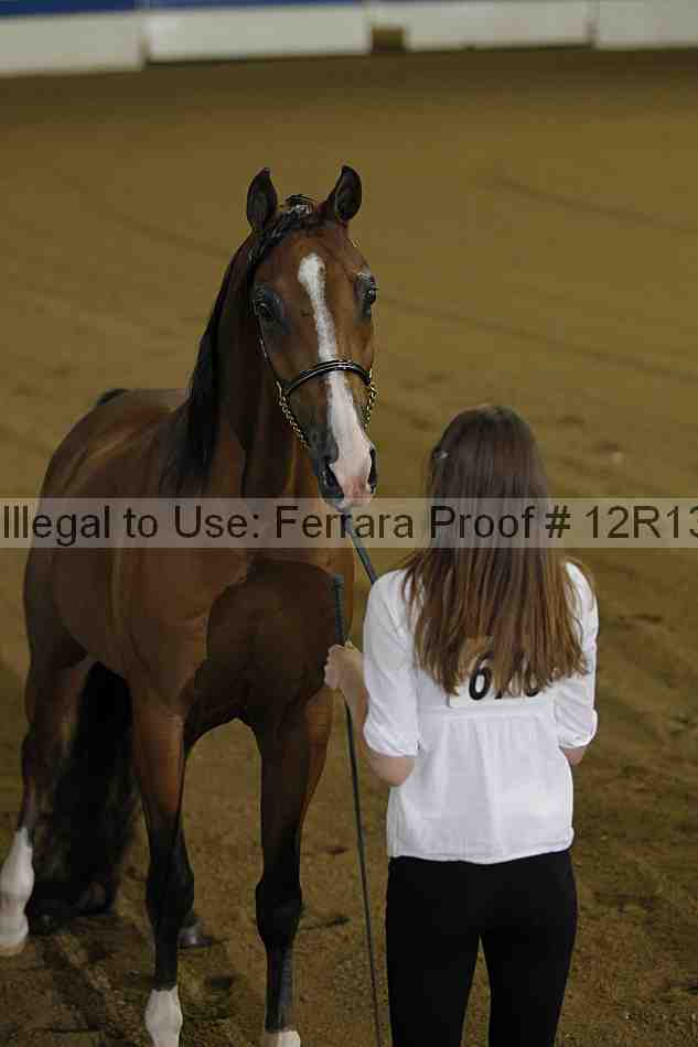 Proof 12r13_2906