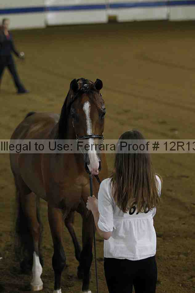 Proof 12r13_2907