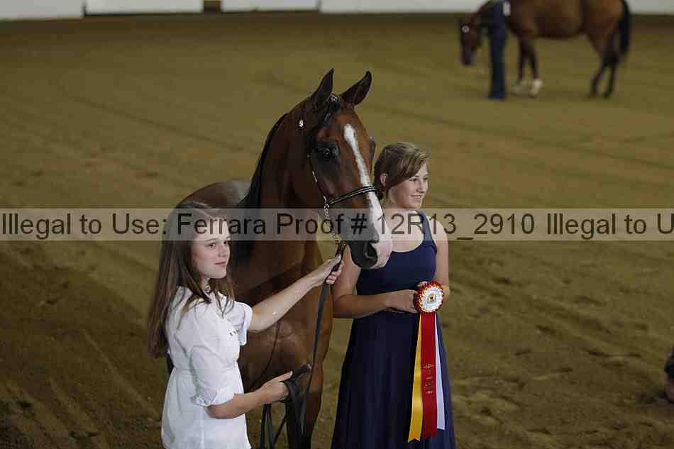 Proof 12r13_2910