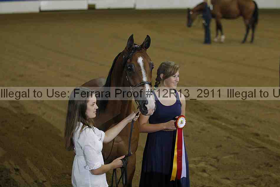 Proof 12r13_2911