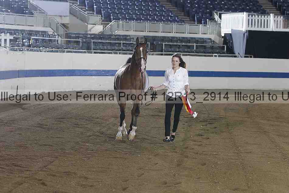 Proof 12r13_2914