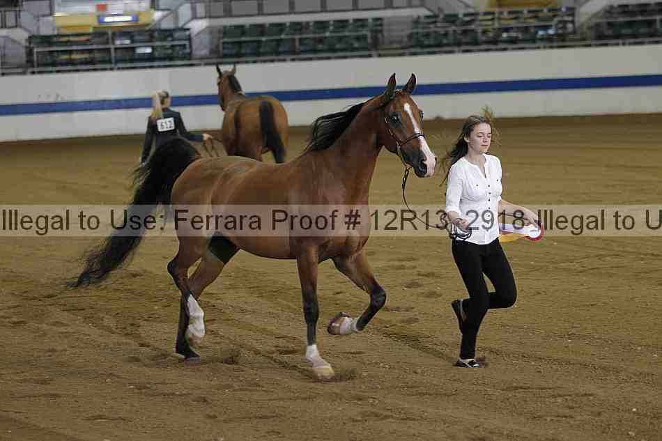 Proof 12r13_2918