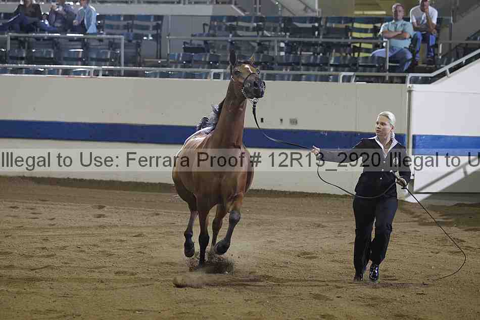 Proof 12r13_2920
