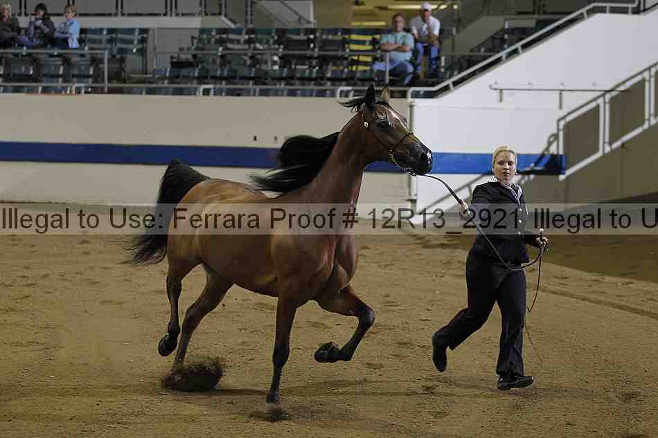 Proof 12r13_2921