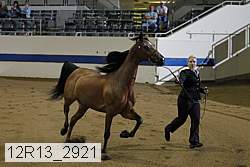 12r13_2921 proof