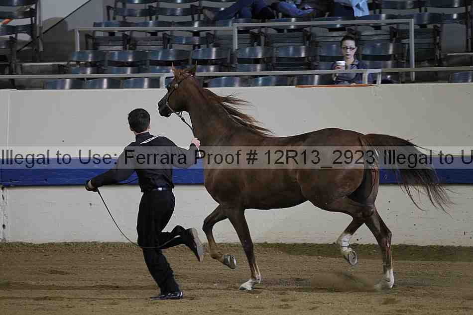 Proof 12r13_2923
