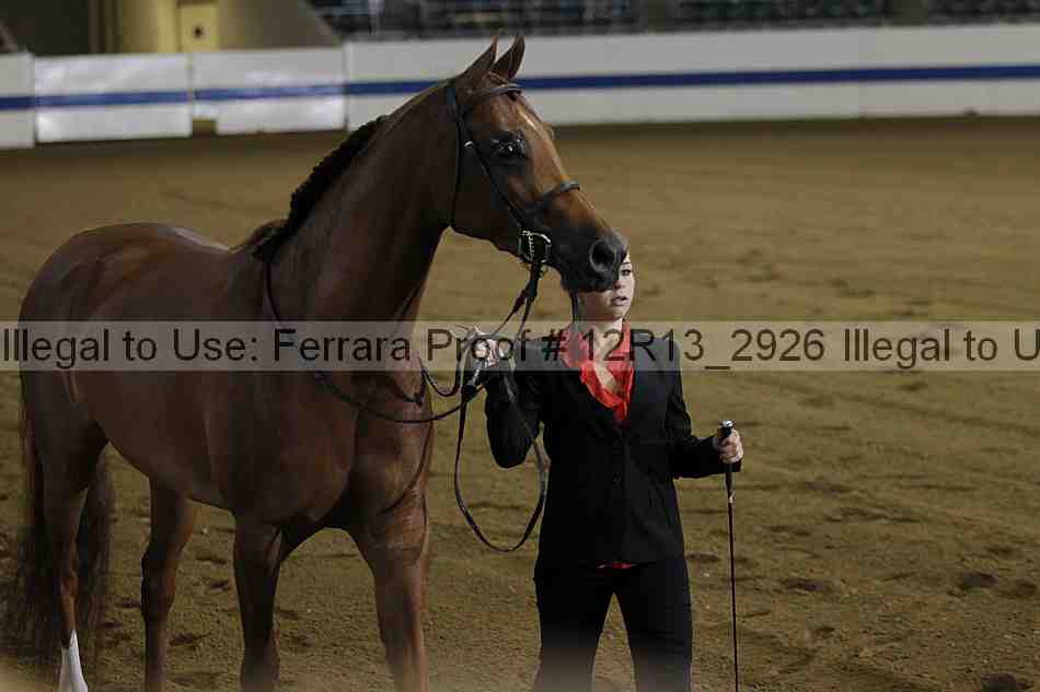 Proof 12r13_2926