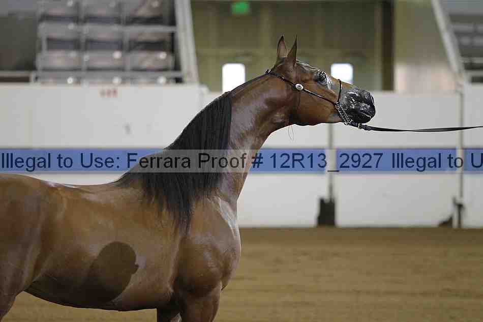 Proof 12r13_2927