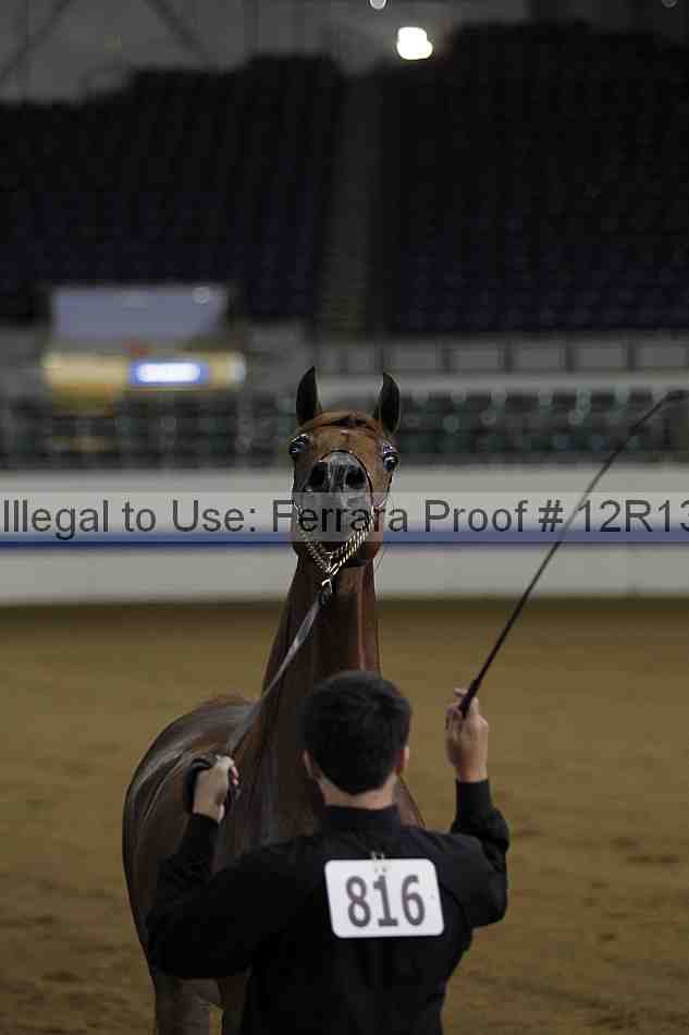 Proof 12r13_2933