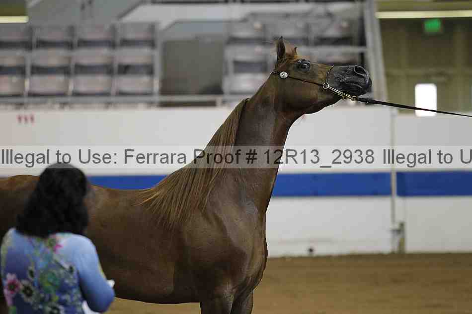 Proof 12r13_2938