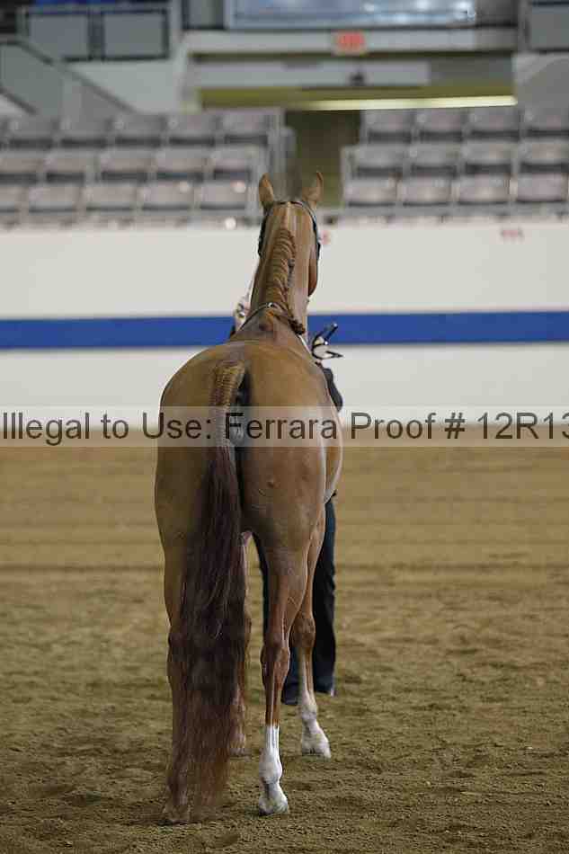 Proof 12r13_2943